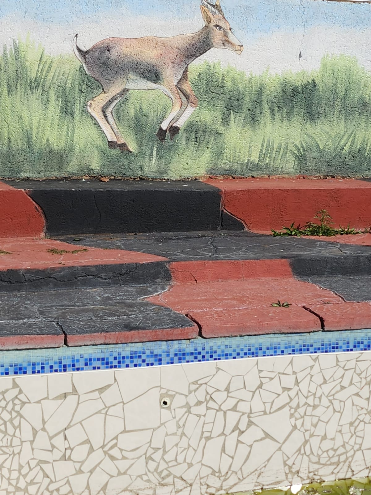 IMG-20230728-WA0007(1)